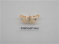 藏品(二斑叉紋苔蛾)的圖片